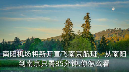 南京到南陽飛機票票價多少,從南陽到南京只需85分鐘