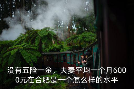 沒有五險一金，夫妻平均一個月6000元在合肥是一個怎么樣的水平