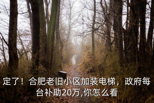 定了！合肥老舊小區加裝電梯，政府每臺補助20萬,你怎么看