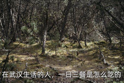 在武漢生活的人，一日三餐是怎么吃的