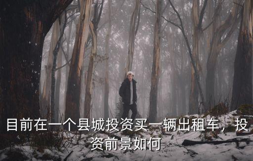 目前在一個縣城投資買一輛出租車，投資前景如何