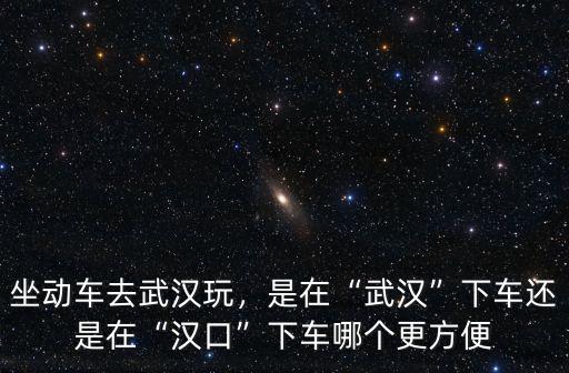 武漢的車票去漢口乘車會怎么樣,坐動車去武漢玩