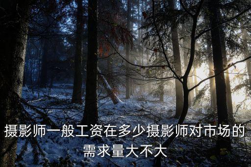 攝影師一般工資在多少攝影師對市場的需求量大不大