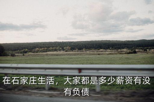 在石家莊生活，大家都是多少薪資有沒有負(fù)債