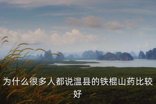 為什么很多人都說溫縣的鐵棍山藥比較好