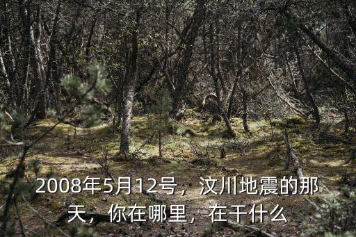 2008年5月12號，汶川地震的那天，你在哪里，在干什么