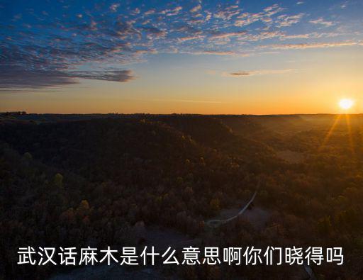 武漢話麻木是什么意思啊你們曉得嗎