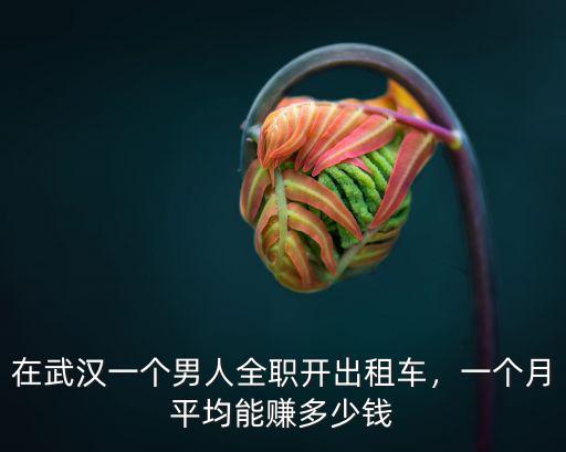武漢出租車怎么刷卡,在武漢一個男人全職開出租車