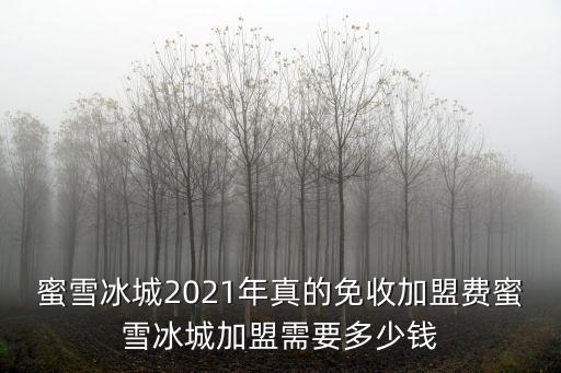河北滄州蜜雪冰城加盟費(fèi)多少,蜜雪冰城加盟需要多少錢