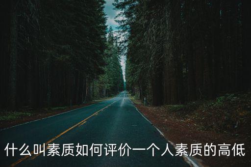 什么叫素質如何評價一個人素質的高低
