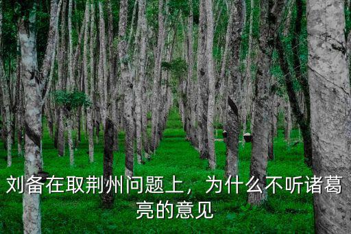 劉備怎么去取荊州,劉備在取荊州問題上