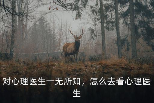 對(duì)心理醫(yī)生一無(wú)所知，怎么去看心理醫(yī)生