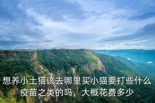 宿州養什么的多少錢,安徽宿州的彩禮錢有多高