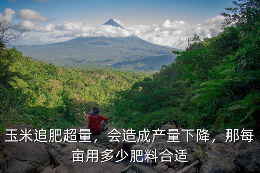 玉米追肥超量，會造成產量下降，那每畝用多少肥料合適