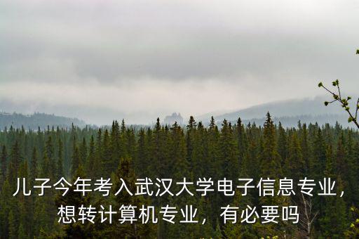 武漢大學計算機學院專業怎么樣,武漢大學計算機怎么樣