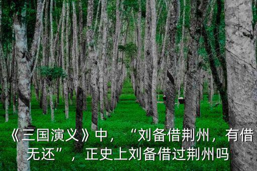 三國演義中劉備借荊州是怎么回事,《三國演義》中