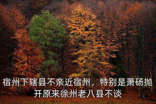 徐州城區比宿州大多少,宿州和徐州有多近