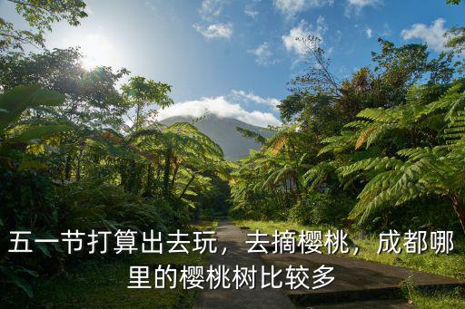 成都附近哪里有山上的樹,成都哪里的櫻桃樹比較多