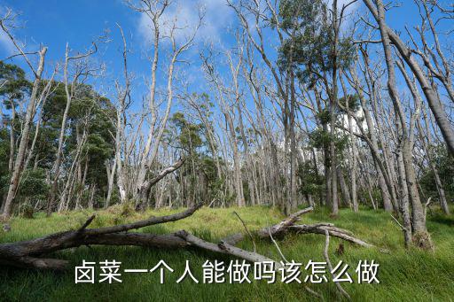 鹵菜一個人能做嗎該怎么做