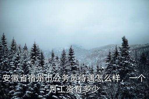 安徽省宿州市公務員待遇怎么樣，一個月工資有多少