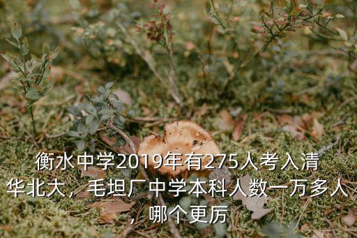 衡水中學一年考上多少清華北大,衡中考上清華北大多少名