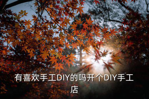 巴中diy手工哪里有,哪里有做創意手工的店