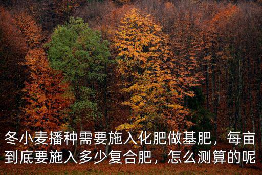 冬小麥播種需要施入化肥做基肥，每畝到底要施入多少復(fù)合肥，怎么測算的呢