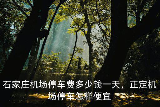 石家莊機場到樂城多少錢,石家莊機場停車費多少錢一天