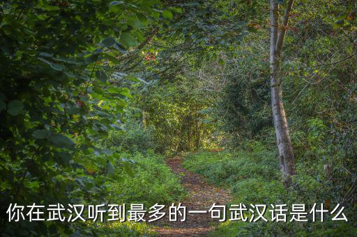 你在武漢聽到最多的一句武漢話是什么