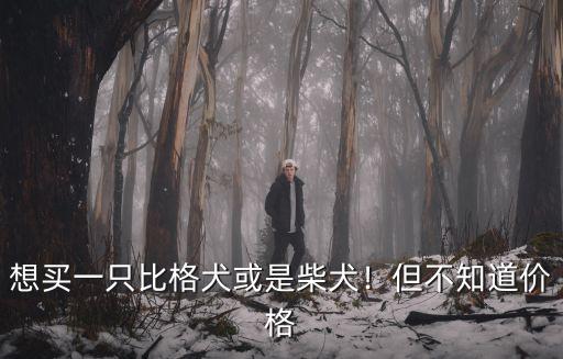 河南地區柴犬多少錢一只,想買一只柴犬
