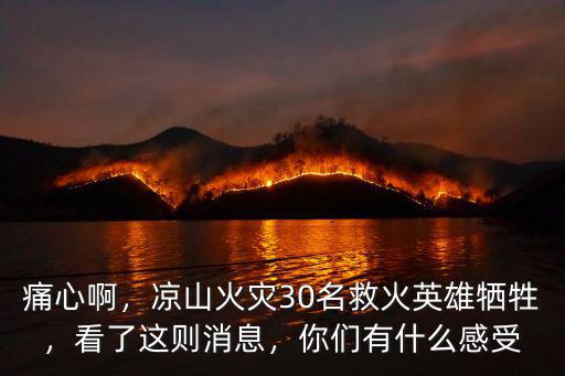 痛心啊，涼山火災(zāi)30名救火英雄犧牲，看了這則消息，你們有什么感受