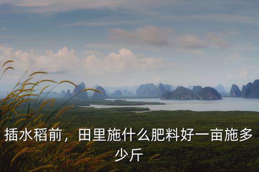 史丹利復(fù)合肥一畝地用多少,一畝花生上多少復(fù)合肥