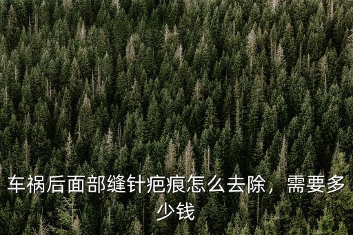 車禍后面部縫針疤痕怎么去除，需要多少錢