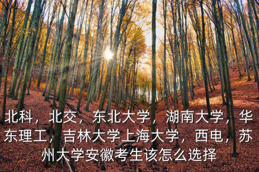 北科，北交，東北大學(xué)，湖南大學(xué)，華東理工，吉林大學(xué)上海大學(xué)，西電，蘇州大學(xué)安徽考生該怎么選擇