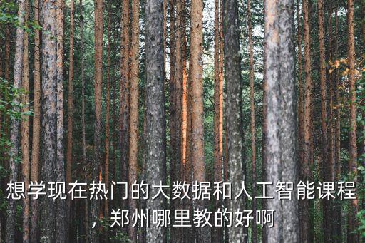 想學現在熱門的大數據和人工智能課程，鄭州哪里教的好啊