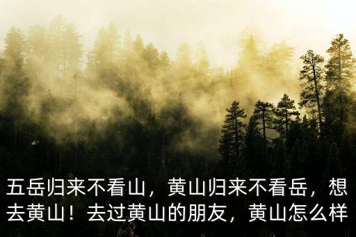 五岳歸來不看山，黃山歸來不看岳，想去黃山！去過黃山的朋友，黃山怎么樣