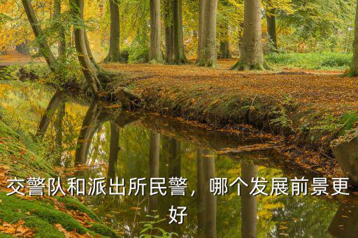 衡水派出所民警工資有多少,基層民警的工資怎么樣