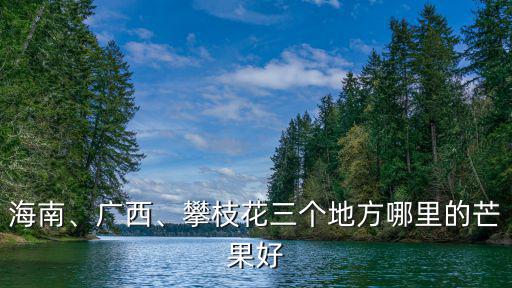 海南、廣西、攀枝花三個地方哪里的芒果好