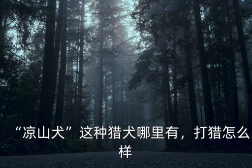 “涼山犬”這種獵犬哪里有，打獵怎么樣