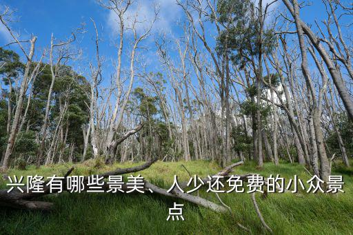 興隆有哪些景美、人少還免費的小眾景點