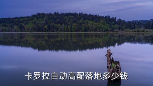 合肥卡羅拉智輝版多少錢,卡羅拉自動高配落地多少錢
