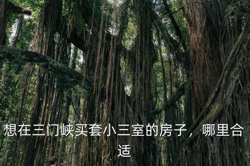 三門峽在哪里買房,想在三門峽買套小三室的房子