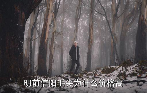 信陽毛尖明前芽葉怎么樣,明前信陽毛尖為什么價格高