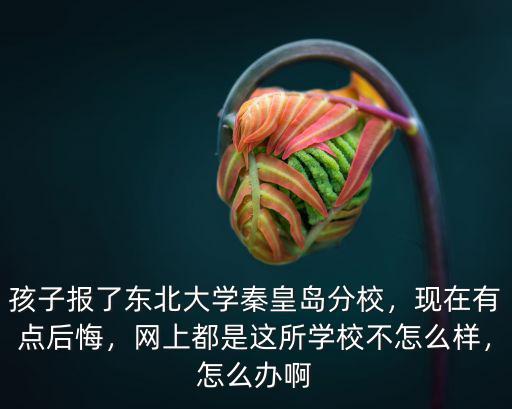 北京是多少所學校到秦皇島,網上都是這所學校不怎么樣