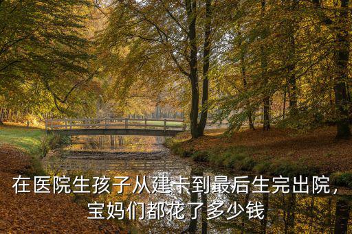 在醫院生孩子從建卡到最后生完出院，寶媽們都花了多少錢