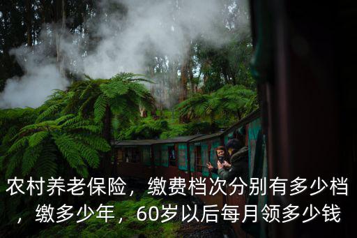 河北農民養老保險多少費用,農村養老保險