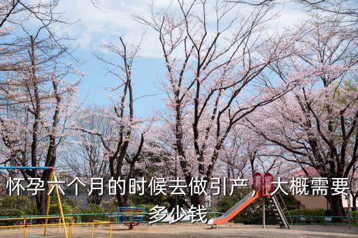 承德引產要用多少錢,大概需要多少錢