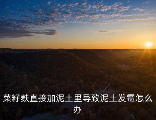 菜籽麩直接加泥土里導(dǎo)致泥土發(fā)霉怎么辦