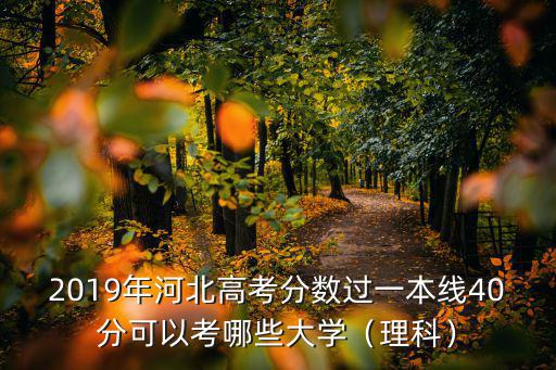 2019年河北本一線多少分,2019年河北文科611分