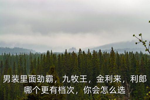 男裝里面勁霸，九牧王，金利來，利郎哪個更有檔次，你會怎么選